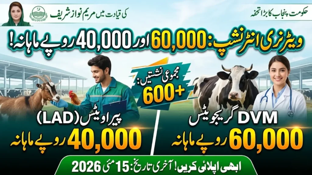 Internship Program is a Great Opportunity for Young Veterinary Graduates and Paravets