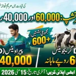 Internship Program is a Great Opportunity for Young Veterinary Graduates and Paravets
